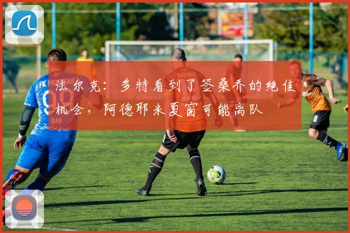 法尔克：多特看到了签桑乔的绝佳机会，阿德耶米夏窗可能离队