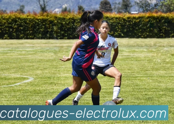 法尔克：多特看到了签桑乔的绝佳机会，阿德耶米夏窗可能离队